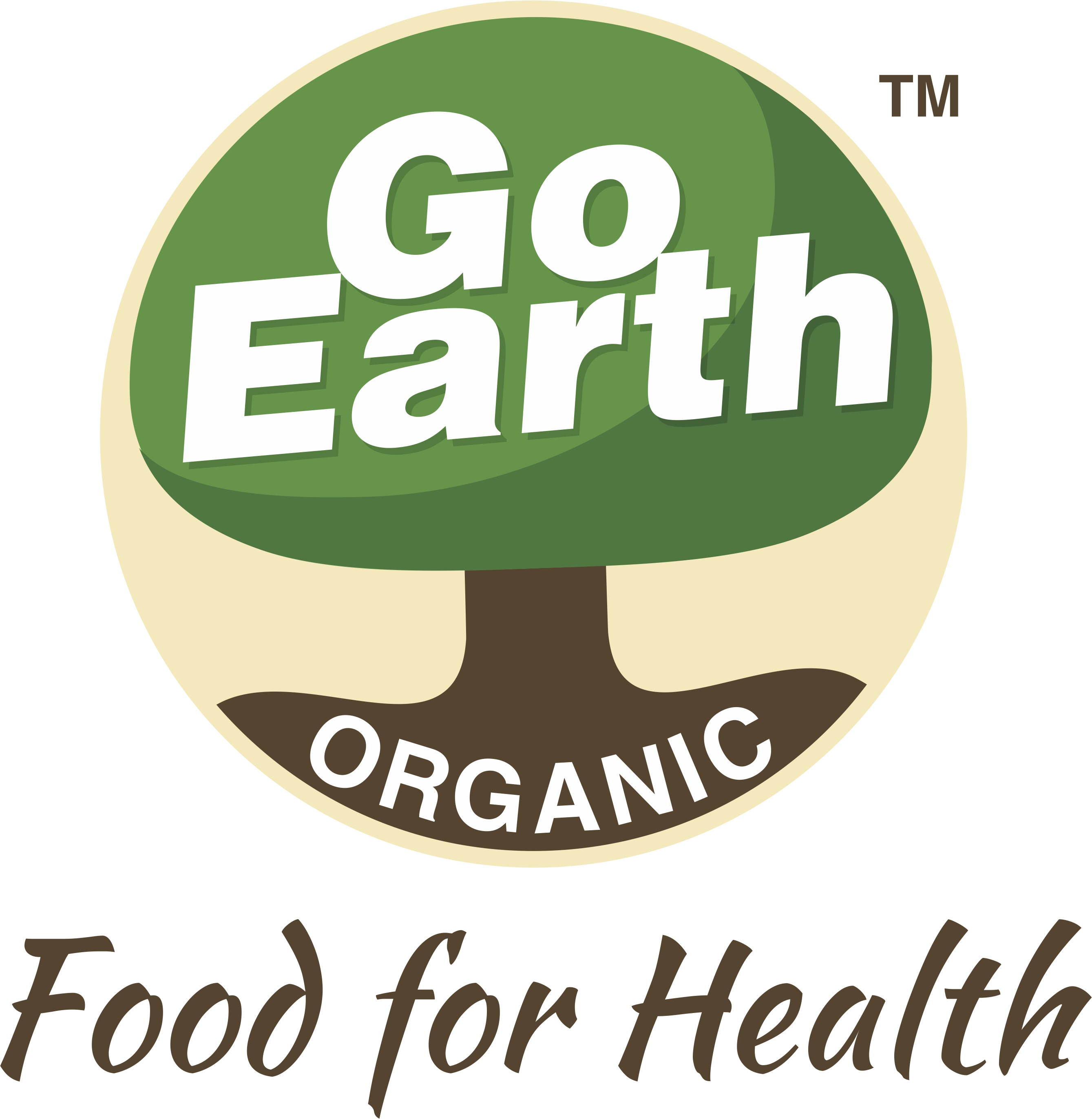 Go Earth