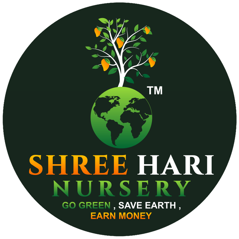 Shree Hari Nursery